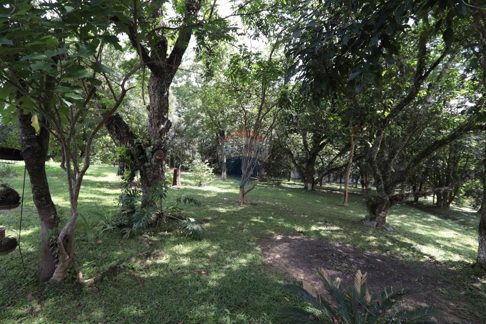 Chácara / Sítio / Fazenda - Venda - São Roque , São Paulo - IMG_6319.JPG - 631601019-36