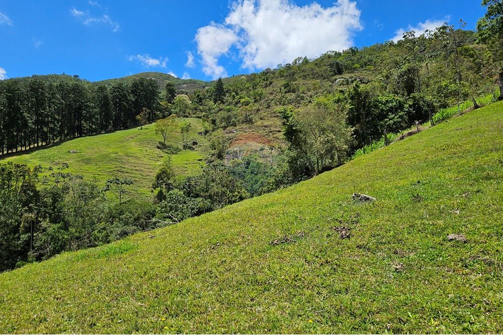 Terreno - Venda - Nova Friburgo , Rio de Janeiro - 20251111_104044.jpg - 630551024-83