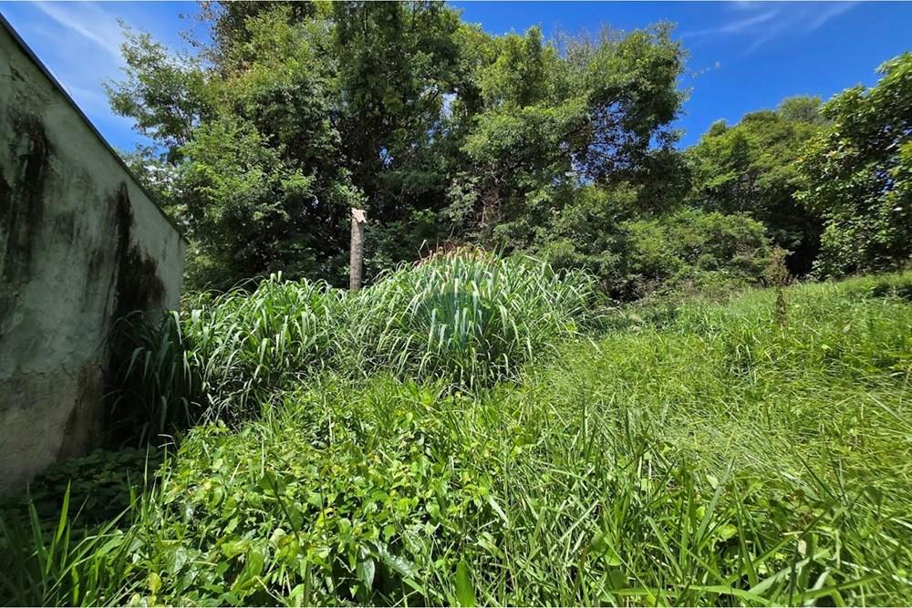 Terreno - Venda - Botucatu , São Paulo - 20260214_111125.jpg - 630481020-61