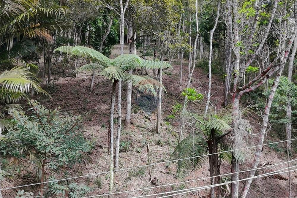 Terreno - Venda - Teresópolis , Rio de Janeiro - DJI_20251223092037_0245_D.JPG - 630191109-14