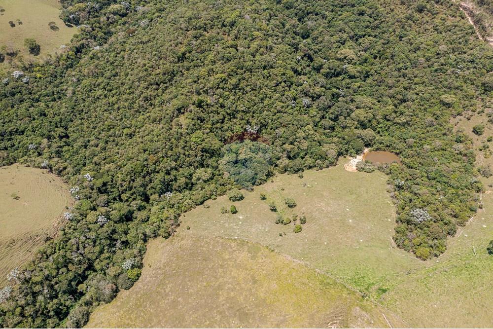 Chácara / Sítio / Fazenda - Venda - Guaratinguetá , São Paulo - FazendaITAJIBA-24.jpg - 630961014-63