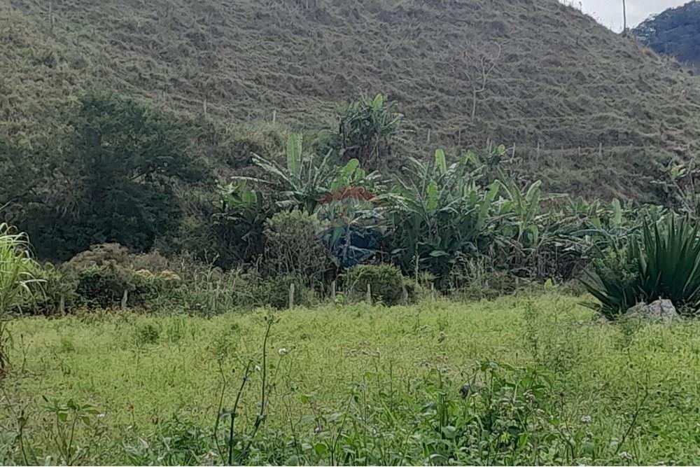 Agro - Venda - Santa Maria Madalena , Rio de Janeiro - WhatsApp Image 2025-05-29 at 13.32.36.jpeg - 630171007-50