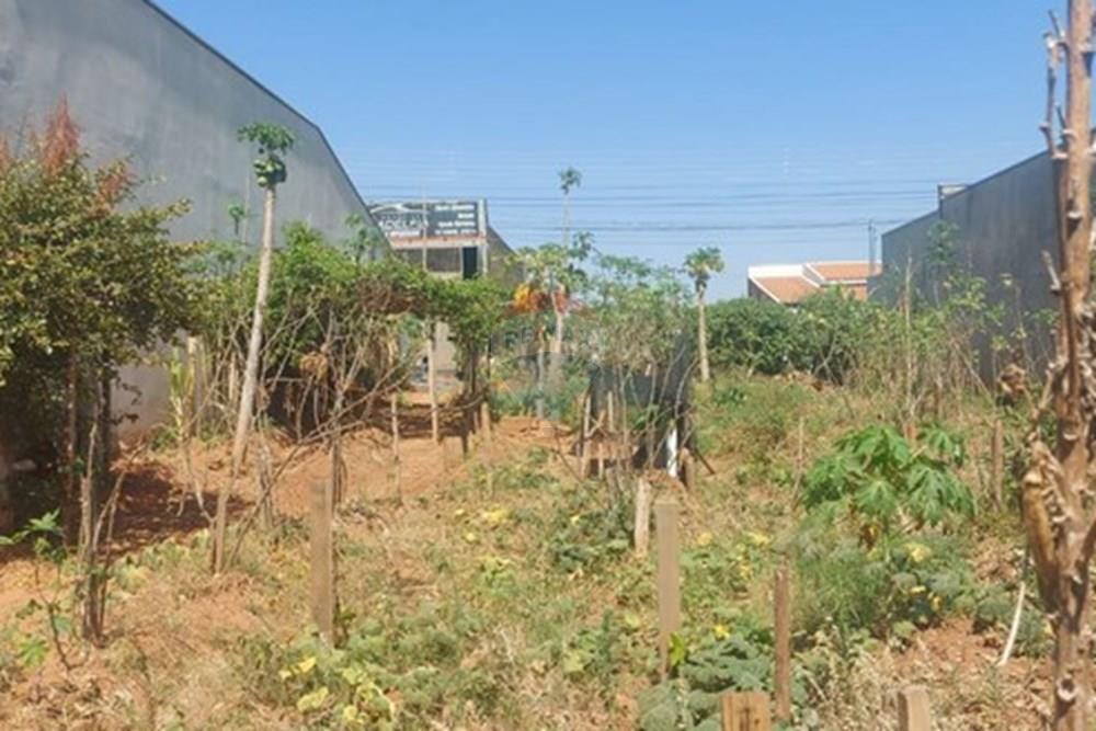 Terreno - Venda - Presidente Prudente , São Paulo - WhatsApp Image 2025-10-02 at 13.02.25 (2).jpeg - 630861066-4