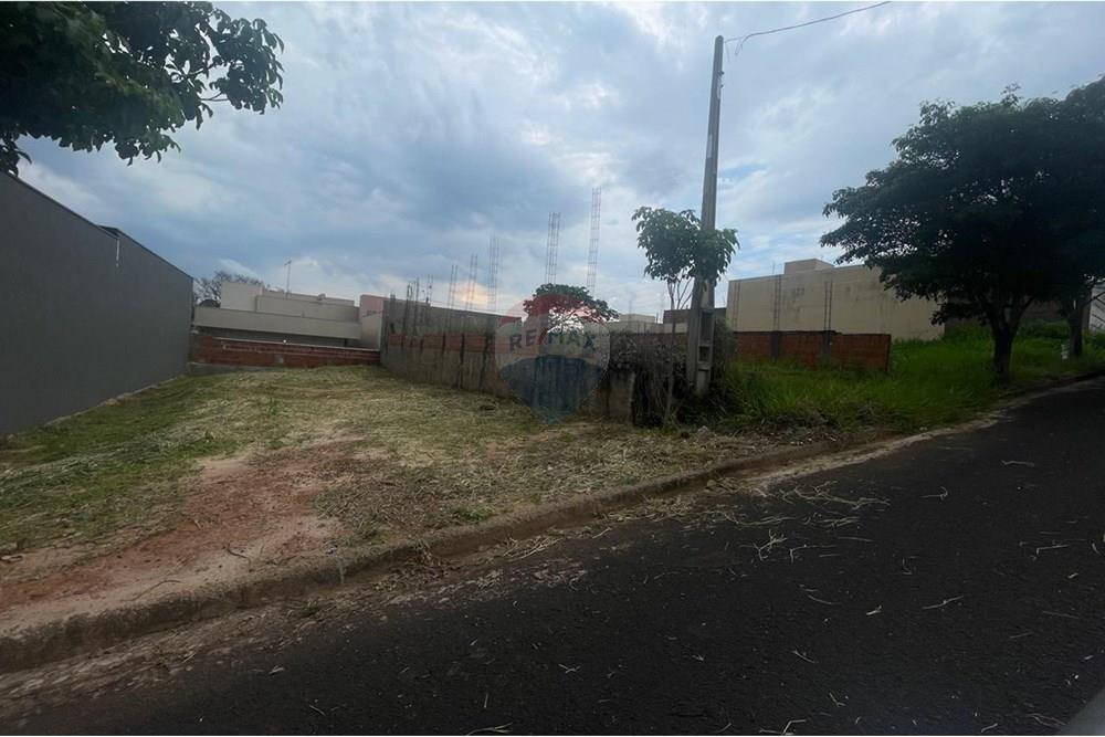 Terreno - Venda - Bady Bassitt , São Paulo - IMG-20241202-WA0174.jpg - 630401028-39