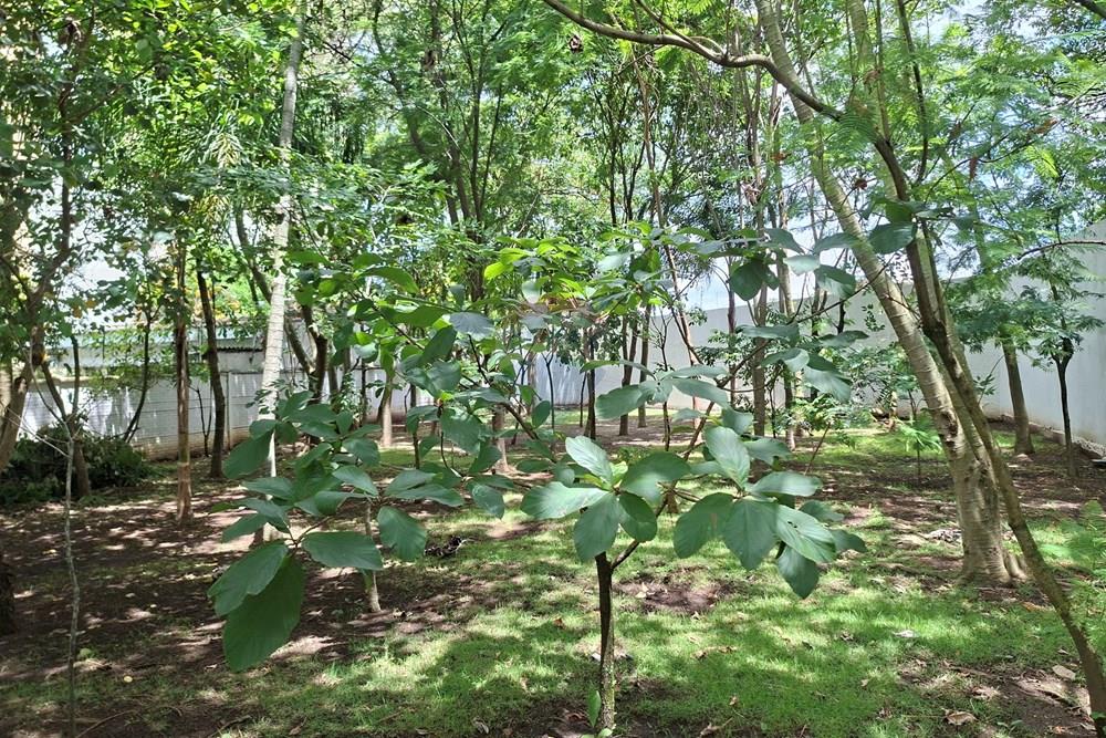 Apartamento - Venda - Guarulhos , São Paulo - 20260115_110923.jpg - 631271004-76