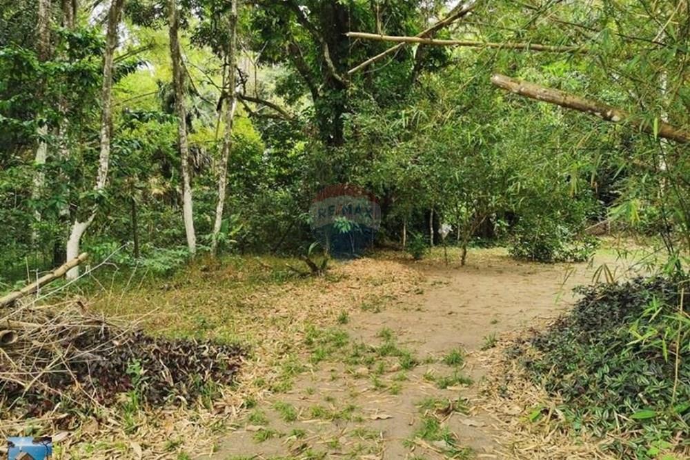 Terreno - Venda - Ilhabela , São Paulo - 1000403345.jpg - 690881023-73