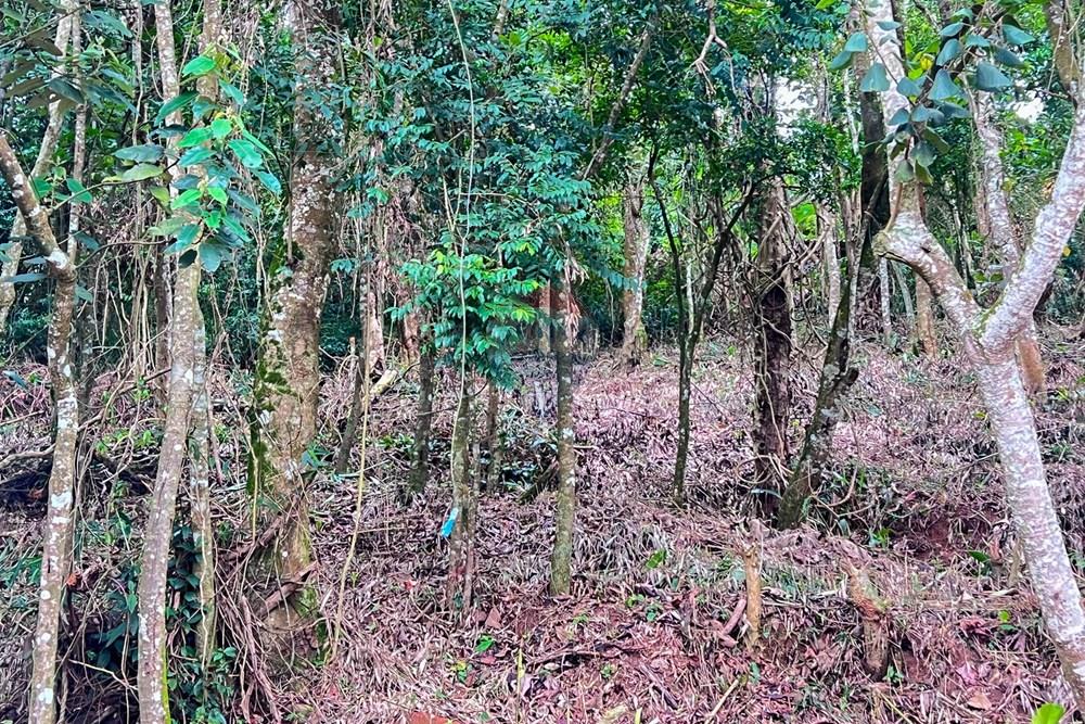 Terreno - Venda - Ribeirão Pires , São Paulo - 6.jpg - 631371054-1