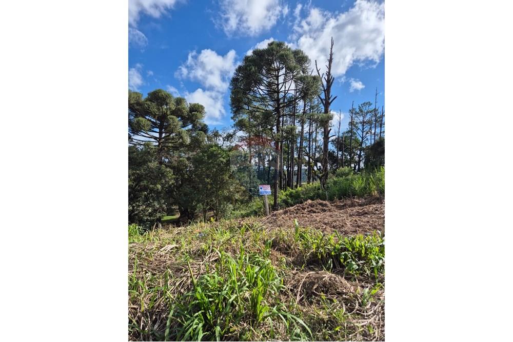 Terreno - Venda - Apiaí , São Paulo - WhatsApp Image 2025-06-05 at 14.41.04.jpeg - 630241006-11