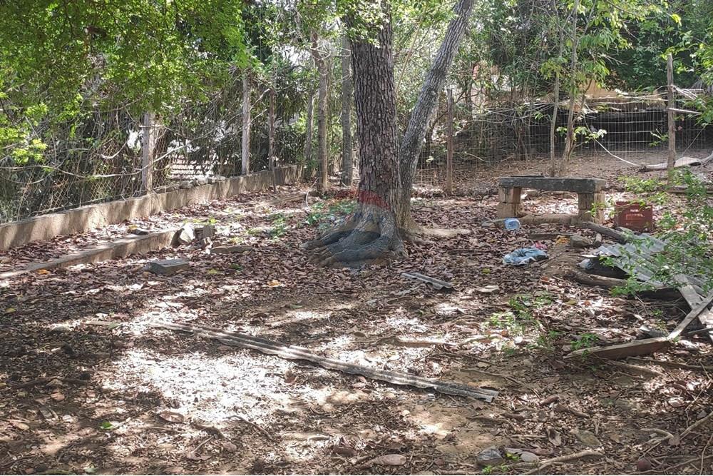 Terreno - Venda - Paraíba do Sul , Rio de Janeiro - IMG_20251106_135822.jpg - 631411001-102