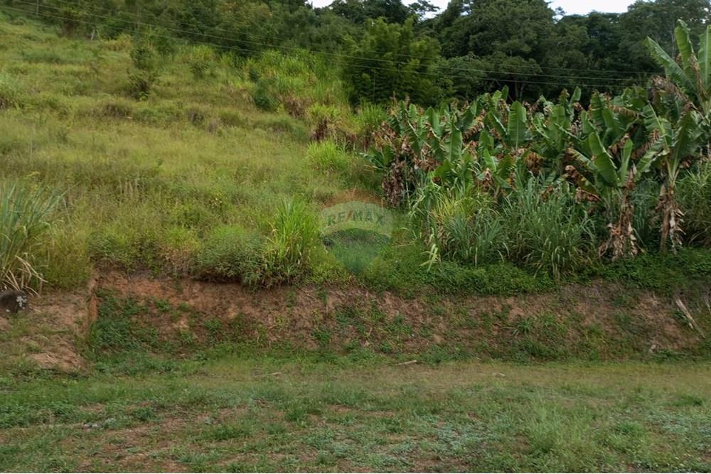 Terreno - Venda - Bom Jardim , Rio de Janeiro - Imagem do WhatsApp de 2025-03-13 à(s) 13.01.32_1bc56c2c.jpg - 630171008-17