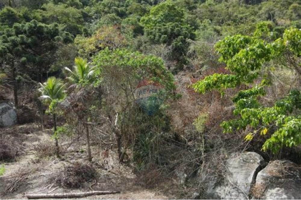 Terreno - Venda - Paraíba do Sul , Rio de Janeiro - 17.jpg - 631611011-3