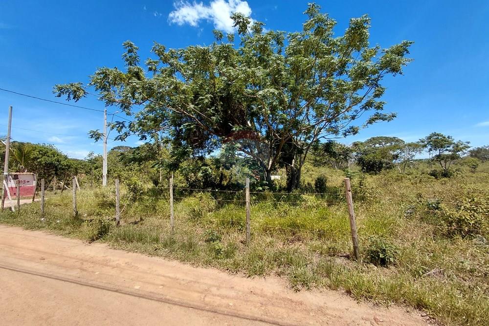 Terreno - Venda - Armação dos Búzios , Rio de Janeiro - 20251211_101844.jpg - 630391071-23