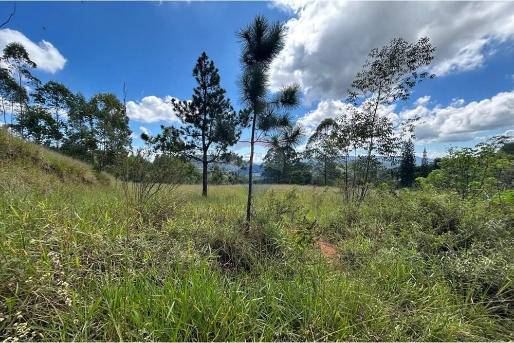 Terreno - Venda - Mairiporã , São Paulo - Imagem do WhatsApp de 2025-05-23 à(s) 14.46.38_41fbf929.jpg - 631361005-125