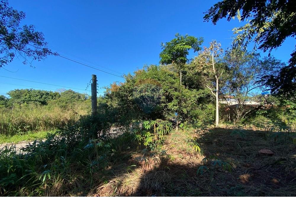 Terreno - Venda - Armação dos Búzios , Rio de Janeiro - WhatsApp Image 2025-07-08 at 11.29.12.jpeg - 630391072-18