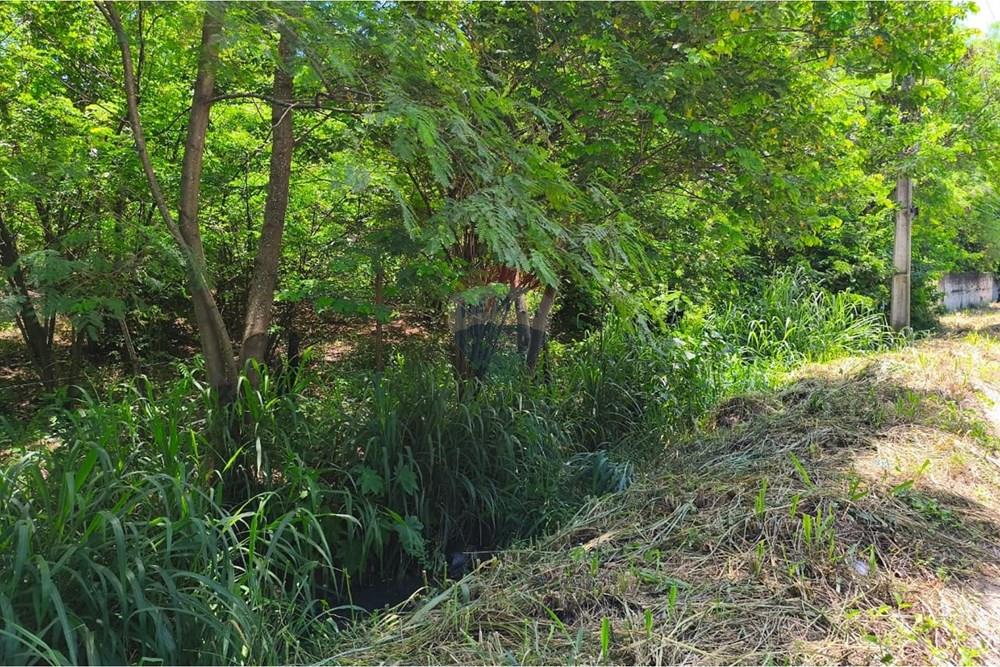 Terreno - Venda - Itaboraí , Rio de Janeiro - 1.jpeg - Jardim Externo - 630121026-176