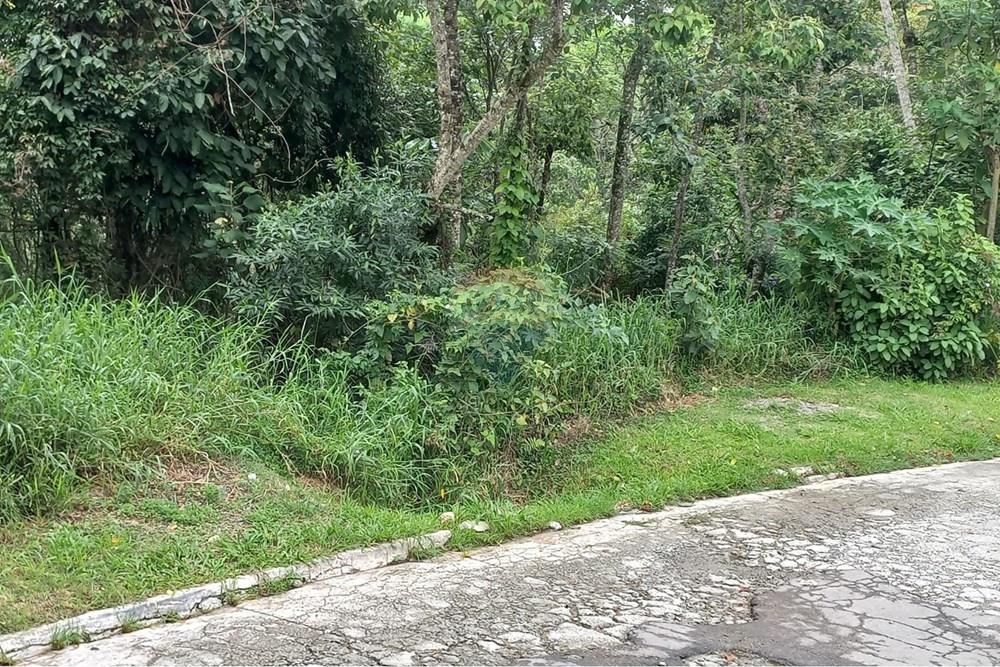 Terreno - Venda - Mairiporã , São Paulo - WhatsApp Image 2026-02-09 at 21.28.26.jpeg - 631361080-8