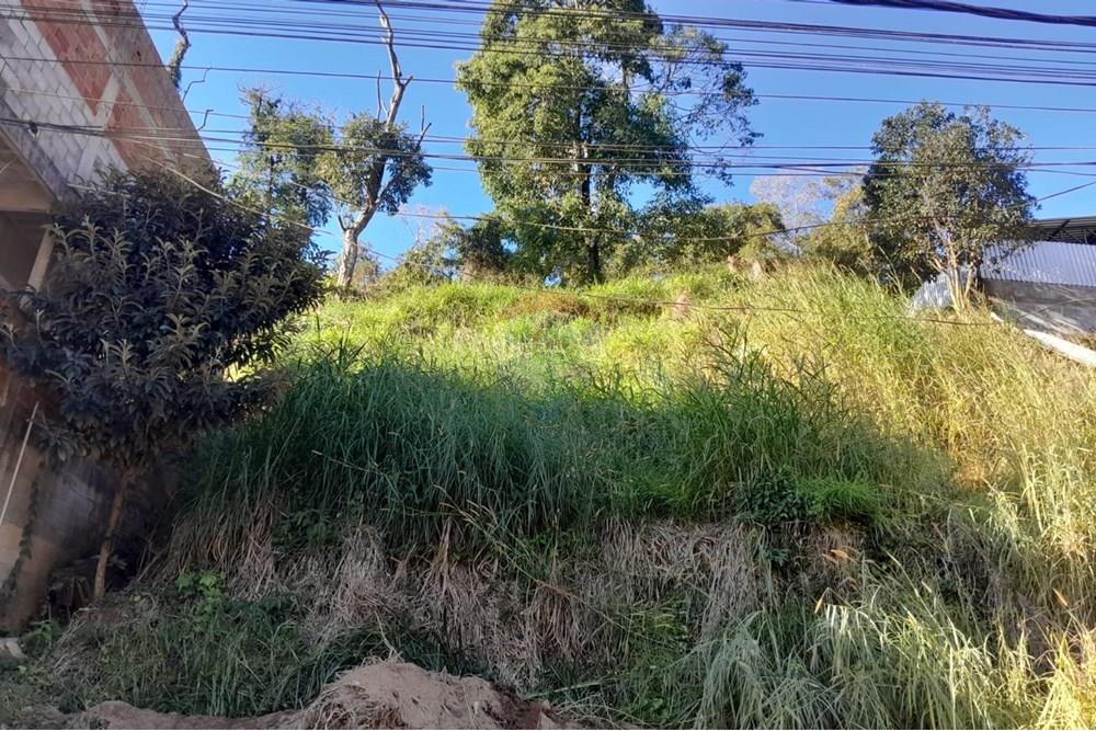 Terreno - Venda - Bom Jardim , Rio de Janeiro - WhatsApp Image 2025-06-23 at 12.14.29.jpeg - 630171008-20