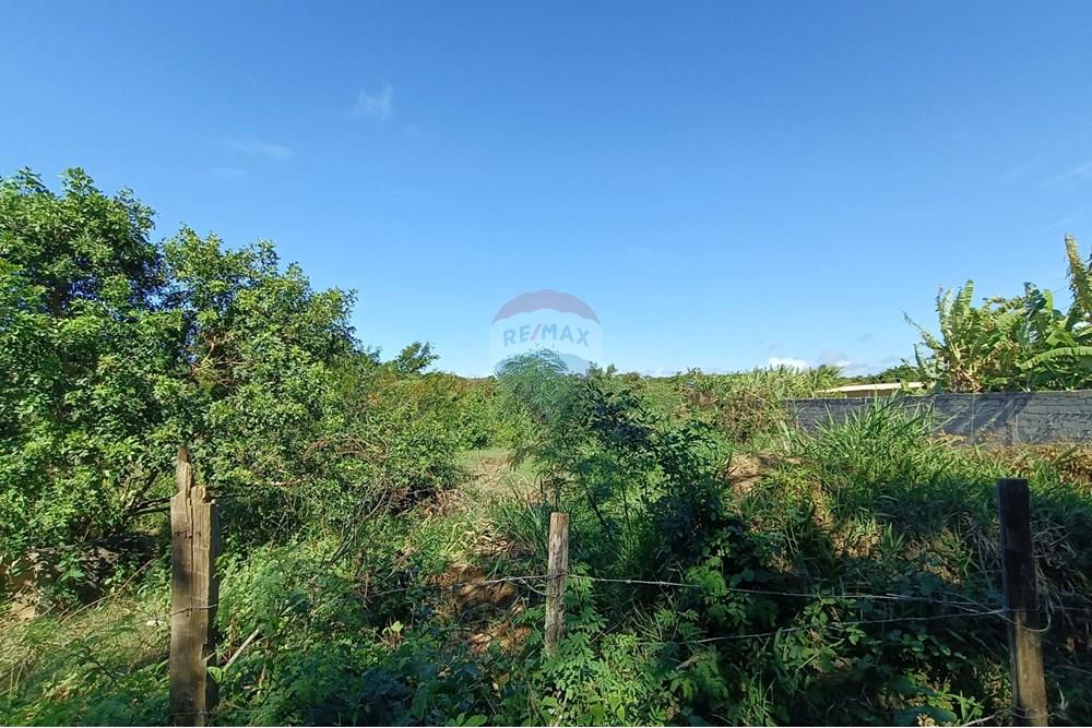 Terreno - Venda - Cabo Frio , Rio de Janeiro - 1000874622.jpg - 630391089-23