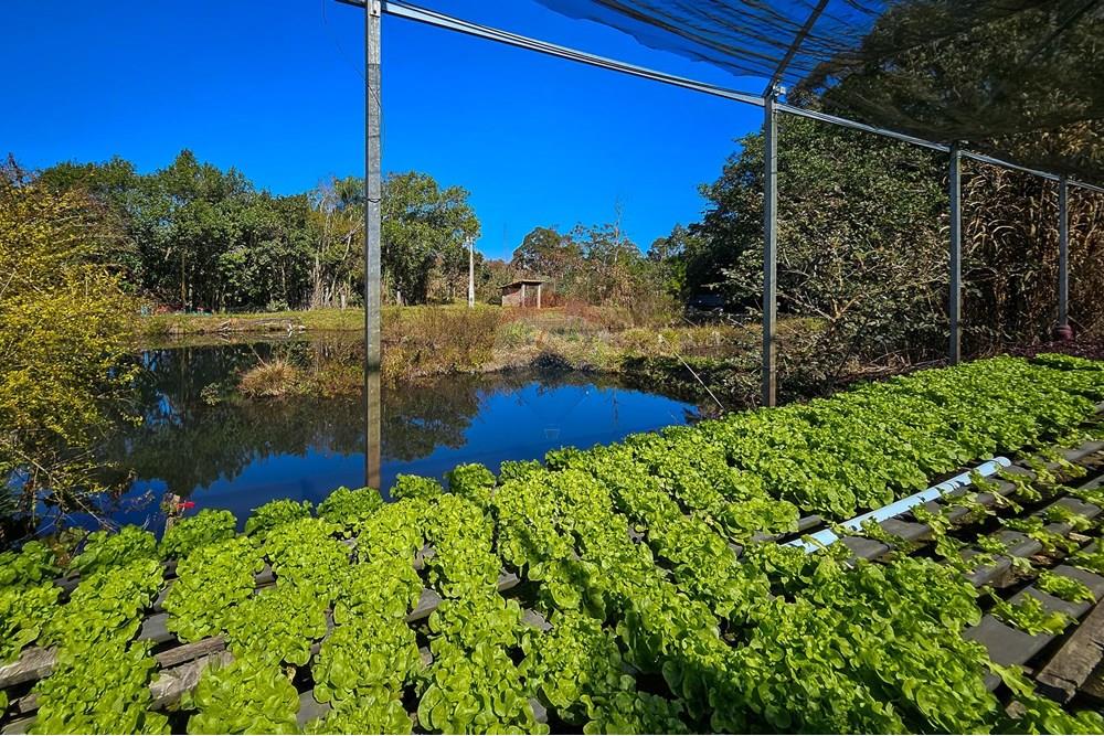 Fazenda - Venda - Botucatu , São Paulo - IMG-20250717-WA0044.jpg - 630111096-7
