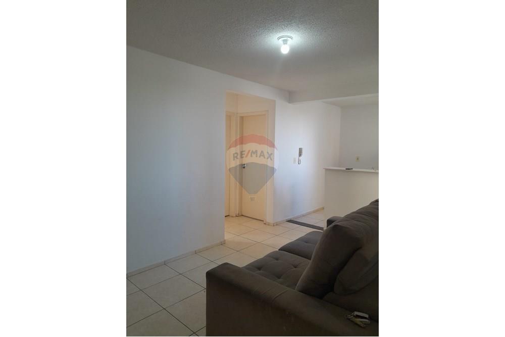 Apartamento - Alugar - Araçatuba , São Paulo - IMG-20251127-WA0157.jpg - 630541060-3