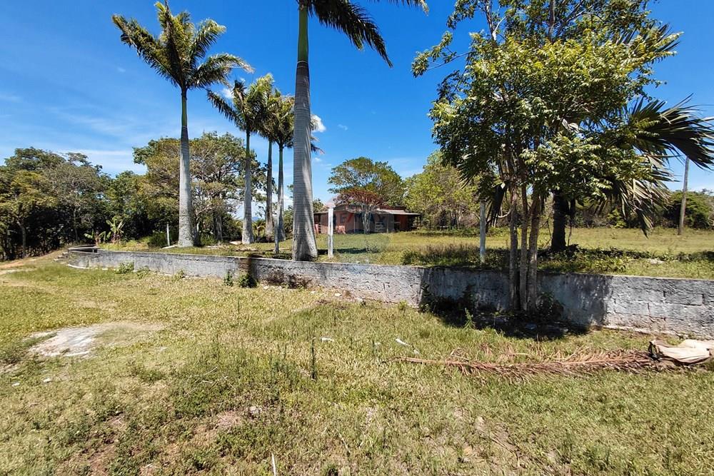 Terreno - Venda - Armação dos Búzios , Rio de Janeiro - 20251211_102736.jpg - 630391071-25