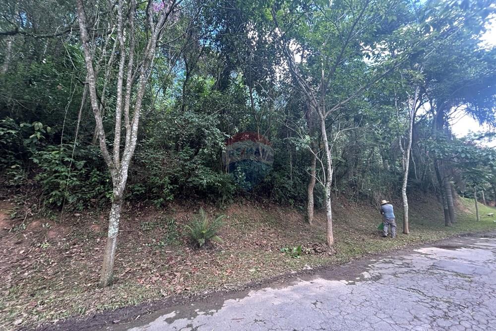 Terreno - Venda - Mairiporã , São Paulo - IMG_6215.jpeg - 631361005-193