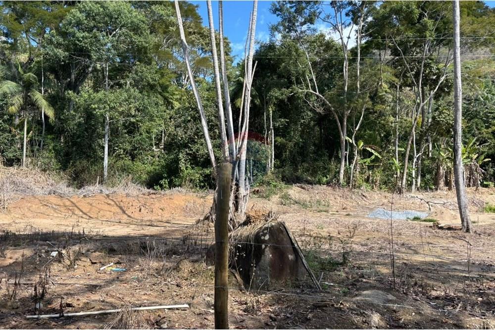 Chácara / Sítio / Fazenda - Venda - Bom Jardim , Rio de Janeiro - a9fc5c0f-3ab3-40d5-b013-a74baeca4d2f.jpg - 630171001-50