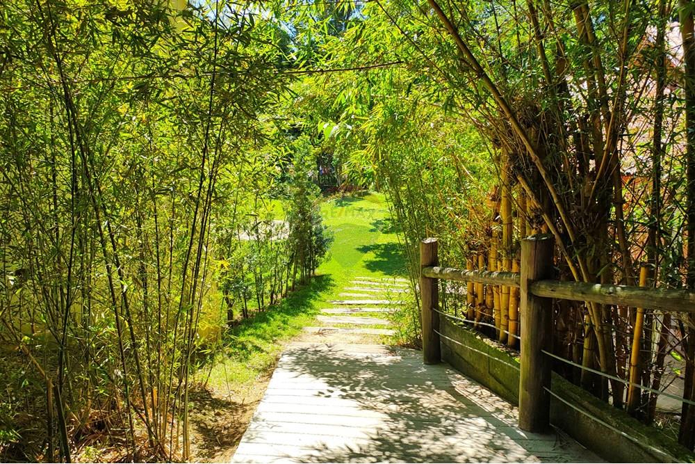 Outros - Alugar - Rio de Janeiro , Rio de Janeiro - IMG_20251110_142435400.jpg - 630121005-376