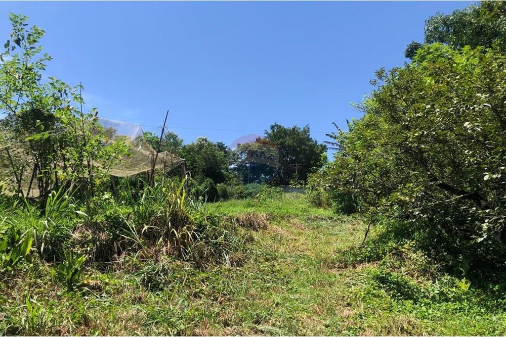 Chácara / Sítio / Fazenda - Venda - Santa Isabel , São Paulo - WhatsApp Image 2025-02-20 at 14.04.35 (7).jpeg - 631491020-25