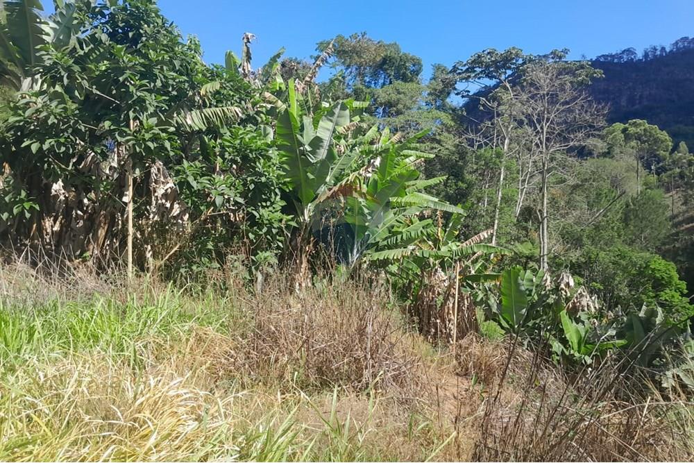 Chácara / Sítio / Fazenda - Venda - Bom Jardim , Rio de Janeiro - WhatsApp Image 2025-12-01 at 10.15.00.jpeg - 630171007-64