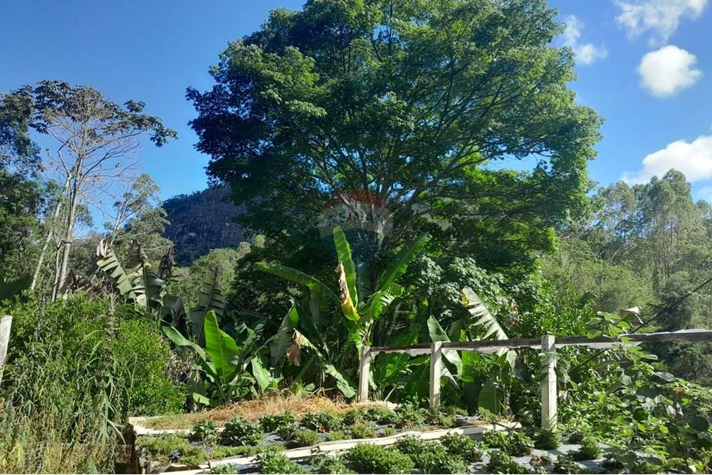 Chácara / Sítio / Fazenda - Venda - Bom Jardim , Rio de Janeiro - WhatsApp Image 2025-12-01 at 10.15.04 (1).jpeg - 630171007-64