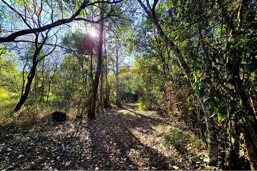 Chácara / Sítio / Fazenda - Venda - Pardinho , São Paulo - 34-20250730_152526.jpg - 630481103-147