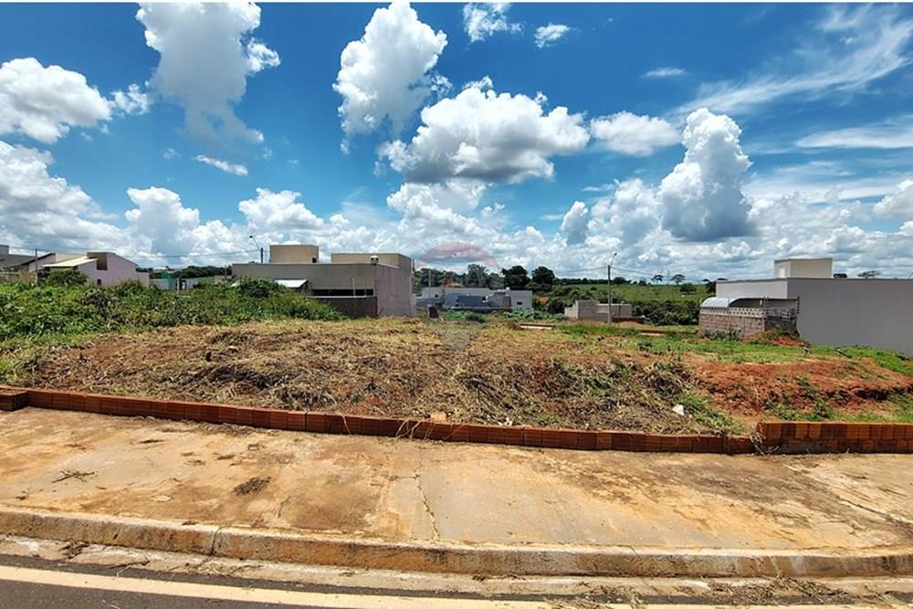 Terreno - Venda - Mirassol , São Paulo - IMG_20260207_130805570_HDR.jpg - 630401039-19