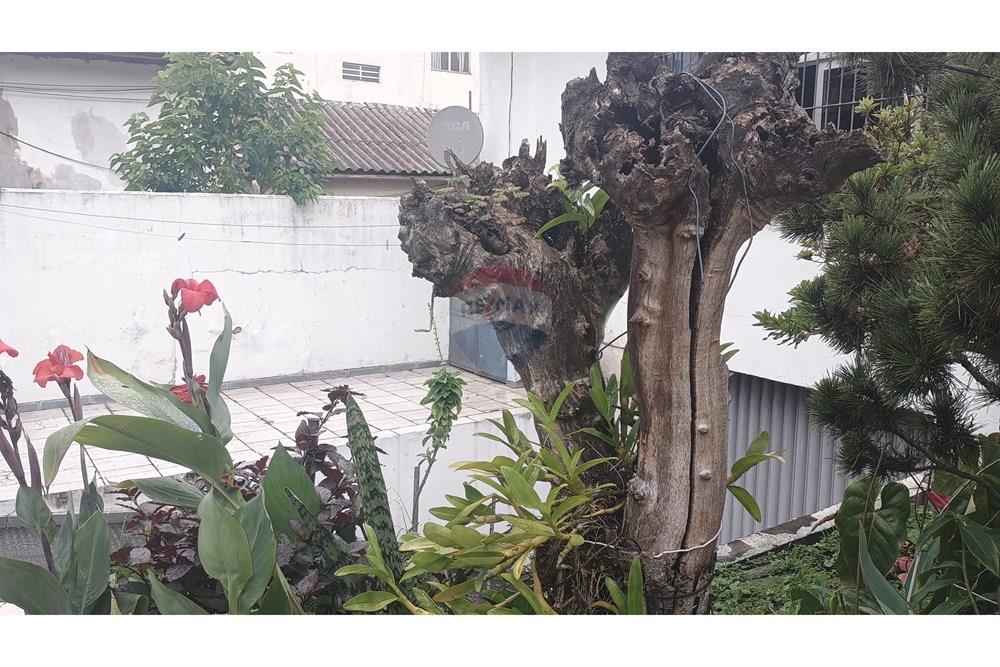 Sobrado - Venda - São Paulo , São Paulo - IMG_20260122_145251680.jpg - 631561009-7