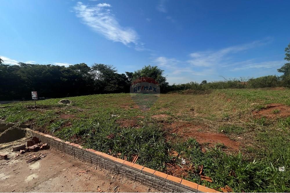 Terreno - Venda - São José do Rio Preto , São Paulo - IMG_7262.JPG - 630401028-46