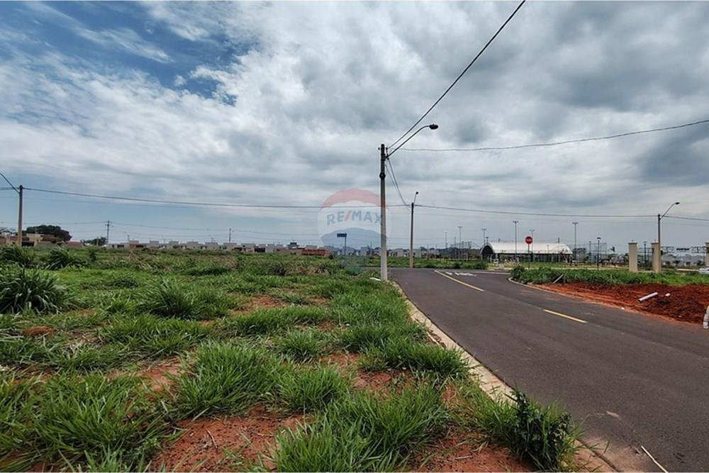 Terreno - Venda - São José do Rio Preto , São Paulo - IMG_20251115_111348584_HDR.jpg - 630401039-17