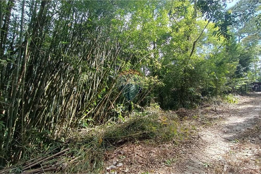 Terreno - Venda - Teresópolis , Rio de Janeiro - 14.jpeg - 630191109-22