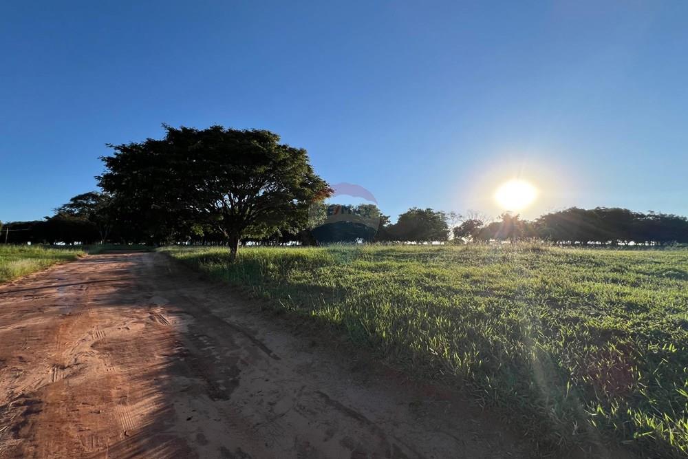 Terreno - Venda - Paranapanema , São Paulo - WhatsApp Image 2026-04-01 at 15.48.28.jpeg - 630481140-9