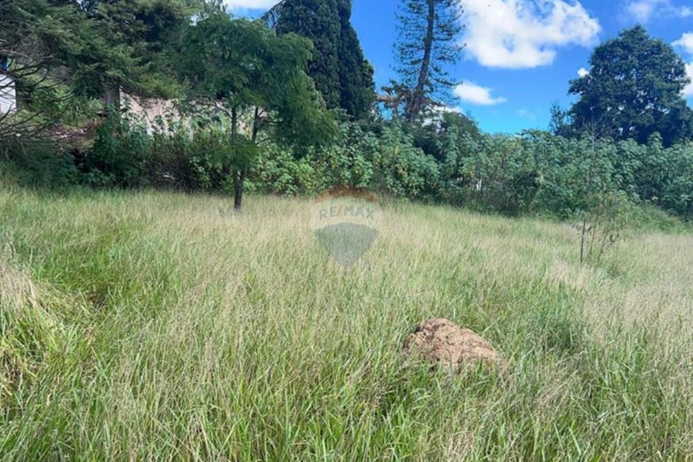 Terreno - Venda - Mairiporã , São Paulo - Imagem do WhatsApp de 2025-05-23 à(s) 14.46.38_f7c10011.jpg - 631361005-127