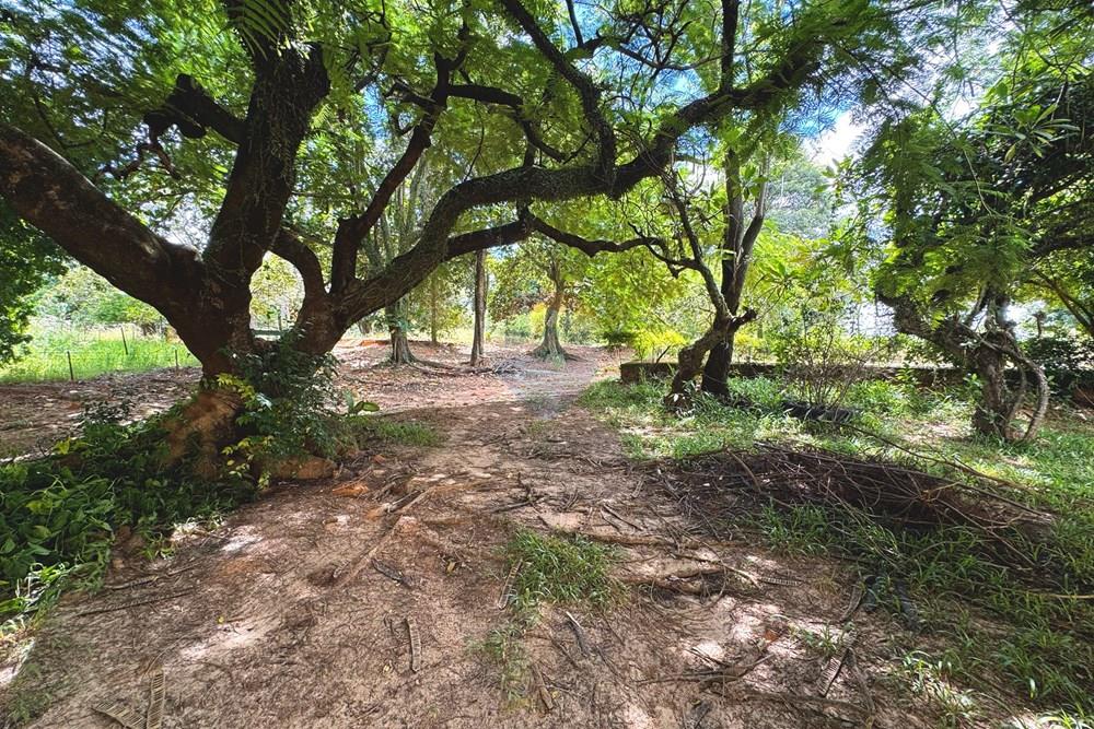 Chácara / Sítio / Fazenda - Venda - Birigui , São Paulo - 20260129_133548688_iOS.jpg - 630541040-79