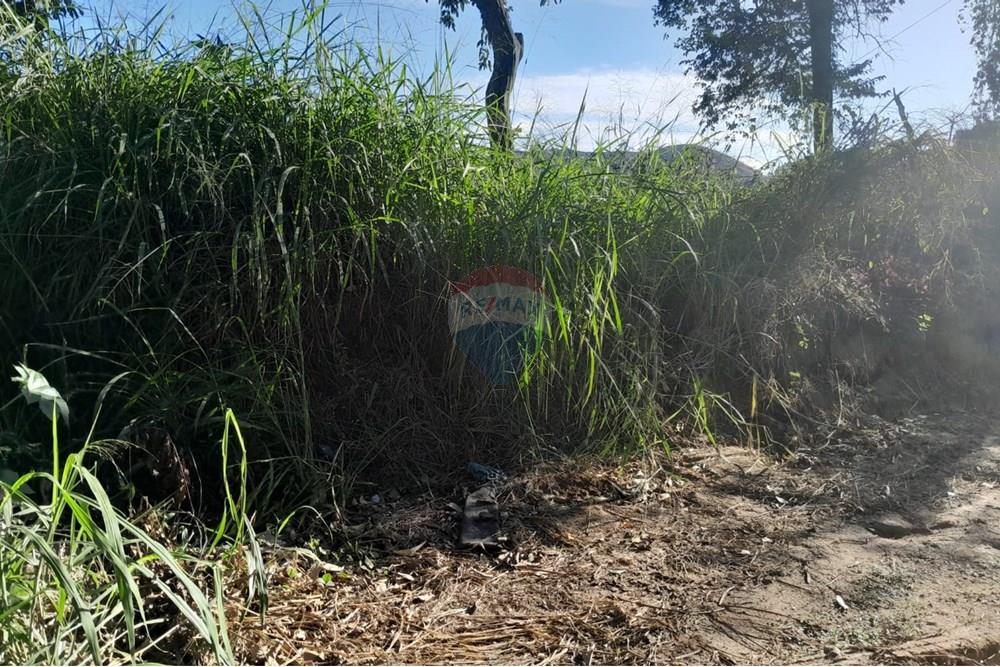 Terreno - Venda - Bom Jardim , Rio de Janeiro - WhatsApp Image 2025-06-23 at 12.14.21.jpeg - 630171008-20