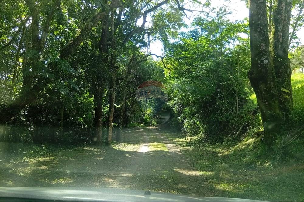 Chácara / Sítio / Fazenda - Venda - São Roque , São Paulo - WhatsApp Image 2026-03-04 at 21.08.47.jpeg - 631601017-39