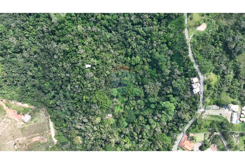 Terreno - Venda - Ilhabela , São Paulo - e9717da7-db2f-4cc4-b099-160b1c897aec.jpeg - 690881044-5