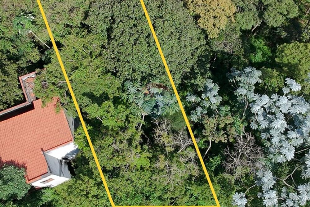 Terreno - Venda - Mairiporã , São Paulo - Demarcado terreno de cima (Custom).JPG - 631361080-8