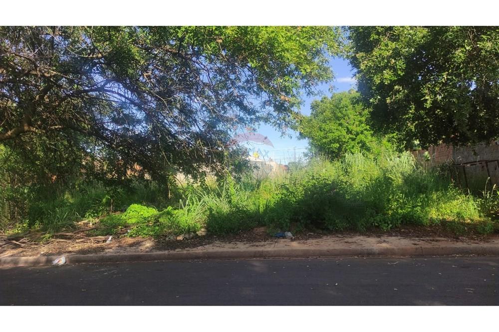 Terreno - Venda - Andradina , São Paulo - WhatsApp Image 2025-01-29 at 08.18.34 (1).jpeg - 631201044-121