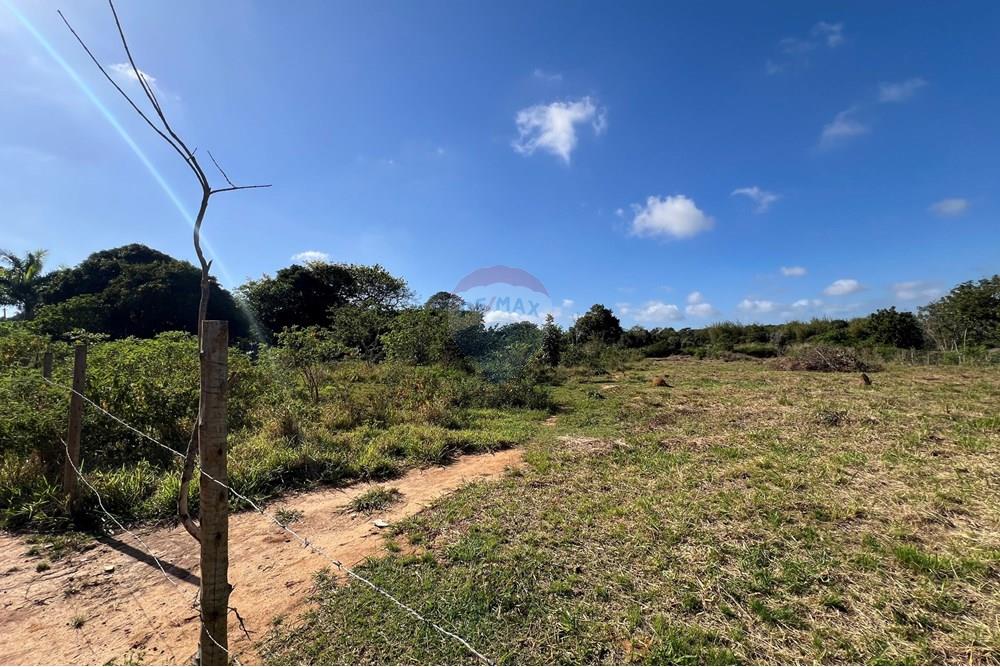 Terreno - Venda - Armação dos Búzios , Rio de Janeiro - IMG_3398.jpg - 630391090-13