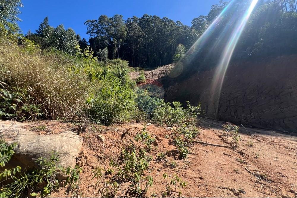 Terreno - Venda - Petrópolis , Rio de Janeiro - WhatsApp Image 2025-08-15 at 17.31.09.jpeg - 630131062-40