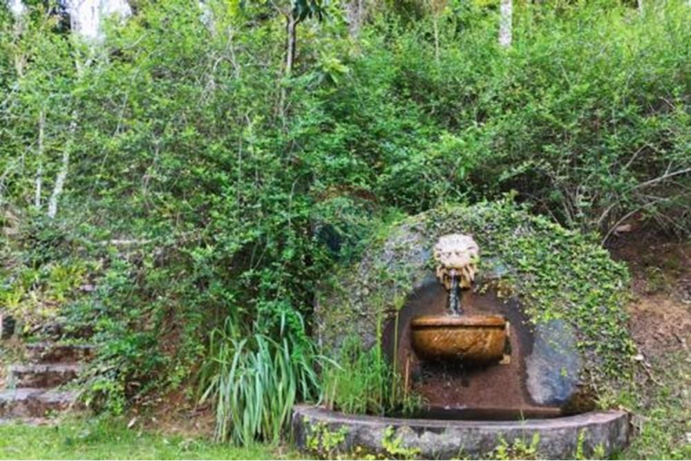 Casa - Venda - Petrópolis , Rio de Janeiro - 26.jpg - Quintal - 631611002-11