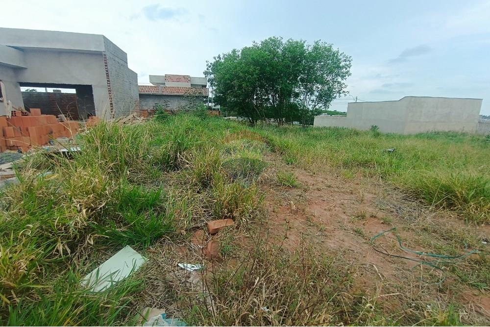 Terreno - Venda - Presidente Prudente , São Paulo - IMG_20251028_120140.jpg - 630861066-13