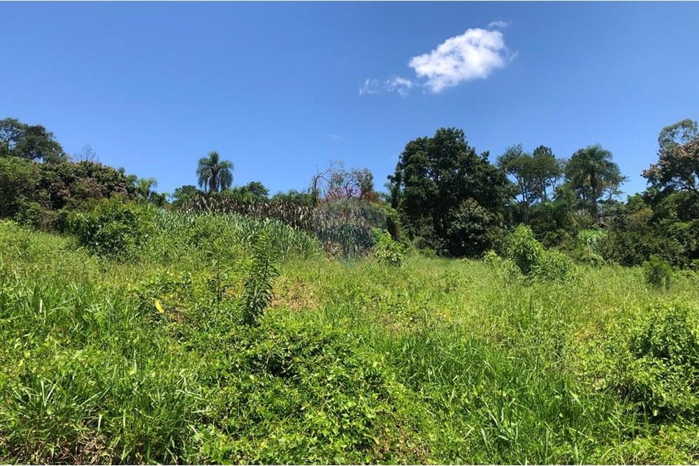 Chácara / Sítio / Fazenda - Venda - Santa Isabel , São Paulo - WhatsApp Image 2025-02-20 at 14.04.35 (19).jpeg - 631491020-25